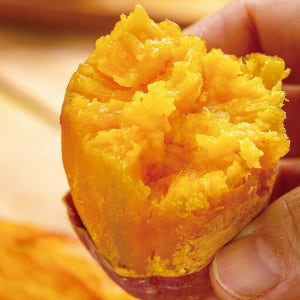 25년 수확! 달콤한 풍원미 당근고구마