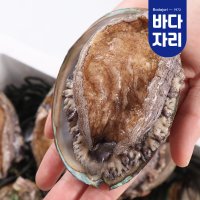 [바다자리] [바다자리] 완도 활전복 1kg 완도전복 산소포장 22-25미