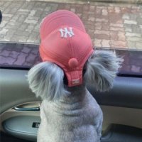 강아지 썬캡 선캡 애견 애완견 개 반려견 모자 MLB LA NY