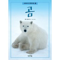 팝북 곰 우리아이 첫 백과사전 21 양장