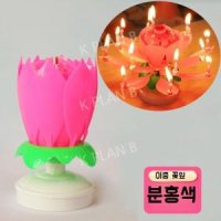 케이크 회전 음악 연꽃 촛불 생일 꽃 5개 더블 캔들 - 5개