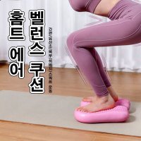 밸런스 쿠션 패드 보드 코어 운동 근육 홈트 허리강화