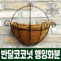 반달 코코넛 행잉화분 벽걸이화분 특대 도시농부 화분