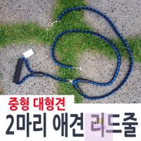 애견 트윈리드줄 두마리애견줄