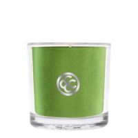 아이엠 COLONIAL CANDLE 2175 글래스 보티브 캔들 1 8oz 상쾌한 알로에