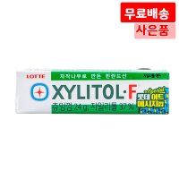 자일리톨F 24g X 45 껌