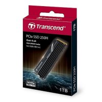 트랜센드 트랜센드 TS1TMTE250H PCIe GEN4 SSD 1TB PS5 완벽 지원