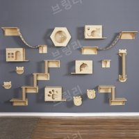 원목 구름다리 벽 캣타워 DIY 고양이 투명해먹 선반 계단 캣워커