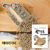 수입 해바라기씨  1개  1kg