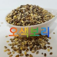 오색보리쌀 칼라보리  1개  2kg