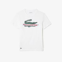 라코스테 LACOSTE 남성 슬림핏 베이직 반팔 폴로 PH7937-53G166