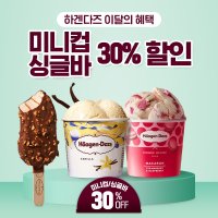 하겐다즈 미니컵 싱글바 9개