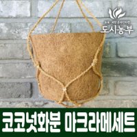 코코넛화분1개 마크라메1p 행거세트 중 도시농부 화분