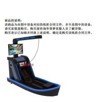 VR 기술 체험관 매장 장비 피트니스 스포츠 훈련 자전거 스키 조정 러닝 게임기  Lanmei Rowing Mach