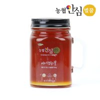 농협안심벌꿀 야생화 꿀 500g x 1병