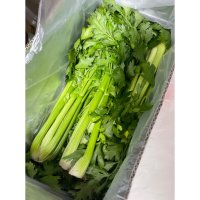 [국내산/국산]샐러리 셀러리 2kg 스틱 celery 새러리 생 파슬리 녹즙 생채 주스 착즙 피클 샐러드 다이어트 식단 과채 채소 야채 줄기 재료 신선초  1개