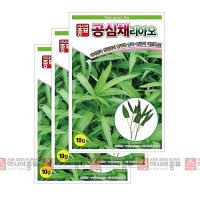 아시아종묘 채소씨앗 - 쌈씨앗 공심채 10gx3