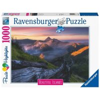 라벤스부르거 RAVENSBURGER 퍼즐 16911 성인용 USA 미국