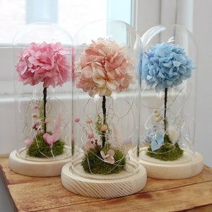 광고 메인 이미지