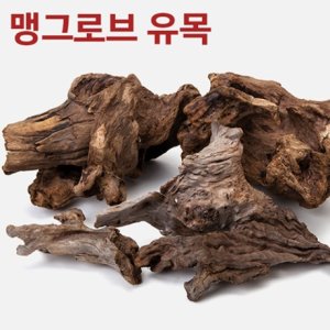 맹그로브유목 최저가 가성비상품