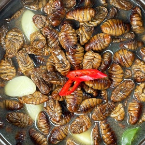 매콤 짭짤 추억의 번데기탕 280g(1인분) 4통