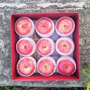 깜짝 사과 용돈박스 / 사과 박스 반전 용돈 상자 부모님 환갑 생신 용돈 현금 선물