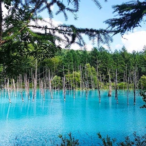 삿보르 패키지 홋카이도 3박4일 일본온천 삿포로 부산출발 가족여행지