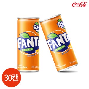 환타 오렌지 250ml x 30캔