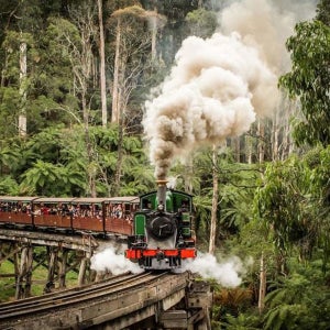 [특가] [조이투어] 퍼핑빌리 - 필립섬 야생 팽귄 행진 (와이너리+마루동물원+노비스) (시티NO복귀)