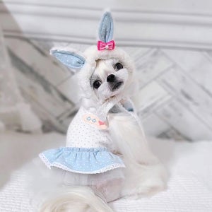 토끼 모자 강아지모자 할로윈, JSA핸드메이드