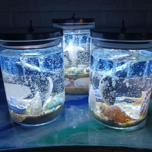 바다무드등, 박씨공방