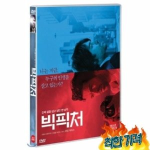 DVD  빅픽처 1Disc  감독   Eric Lartigau 에릭 라티고 - UnKnown