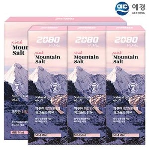 애경 2080히말라야핑크솔트치약 100g 3P세트 관공서 기업 개업 판촉물 기념품 답례품 홍보물품 도매