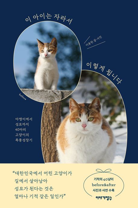 이 아이는 자라서 이렇게 됩니다 (아깽이에서 성묘까지 40마리 고양이의 폭풍성장기) 표지