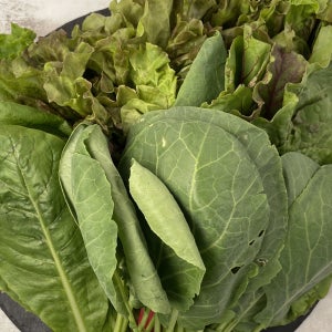 20년 경력 농부가 재배한 모둠 쌈채소 1kg