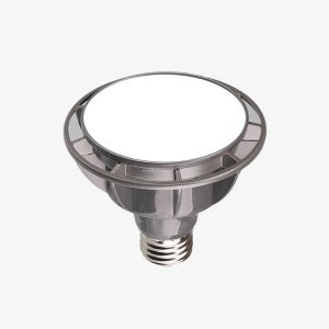 LED PAR30 전구 15W (확산형)