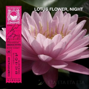 카르마카멧 아시아 향수 방향제 주머니 사쉐 50g 2개입  밤의연꽃(Night Lotus Flower)