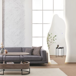 LED 르아 비정형 전신 거울조명 (색변환/밝기조절)