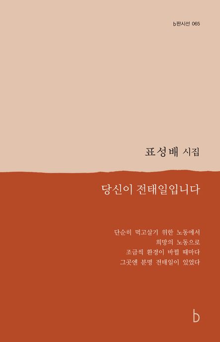 당신이 전태일입니다 : 표성배 시집 표지이미지