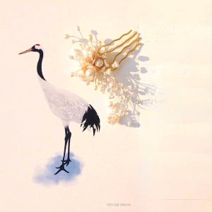 학처럼 ( Korean crane ), 자두꽃