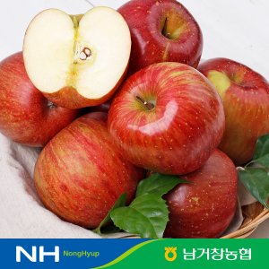 달콤한꿀사과 최저가 가성비상품