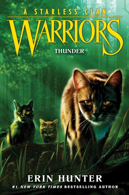 Warriors #4 Thunder (Warriors: A Starless Clan) (8부 Warriors: A Starless Clan)