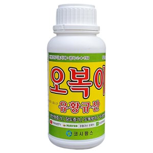 규산황 최저가 가성비상품