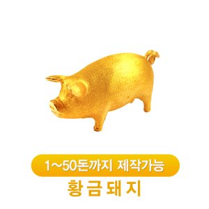 순금돼지 최저가 가성비상품