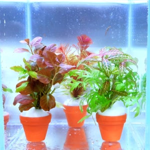 물속에서 키우는 화분! 예쁜어항꾸미기 포트수초, Designed by 미초