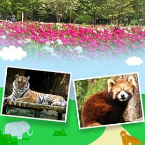 [오늘의여행] 과천 서울대공원 동물원 입장권 - 세계각국 동물 친구들의 이야기
