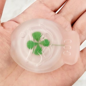 행운의 네잎클로버 붕어빵 그립톡🍀, 티니체리