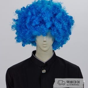 [대여] 블루 뽀글이 폭탄 가발 옛날교복 교련복 졸업사진 졸사 스냅 코스프레♡