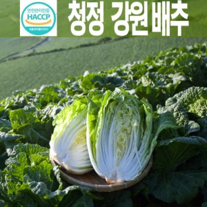 강원도배추 최저가 가성비상품