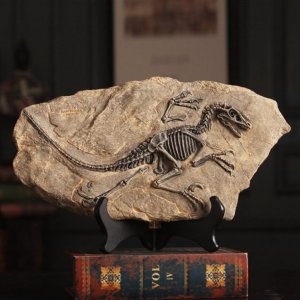 공룡 레트로 이색수집품 골동품 화석 장식 암모나이트 원석 수석 교구 수집용품